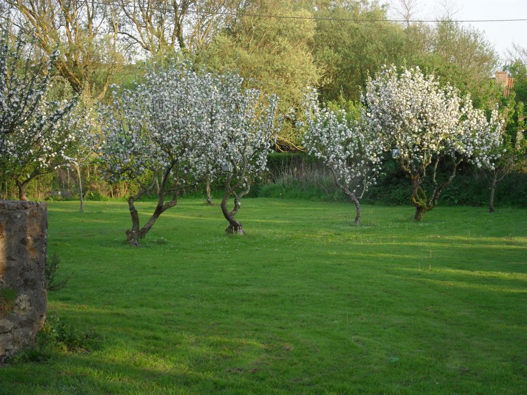 Domaine De La Ronville Wimereux Eksteriør billede